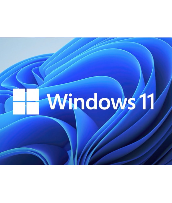  Microsoft Windows 11 Professional 32/64-Bit (Online aktivácia)